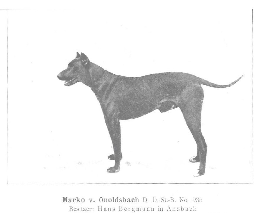 Marko v Onoldsbach